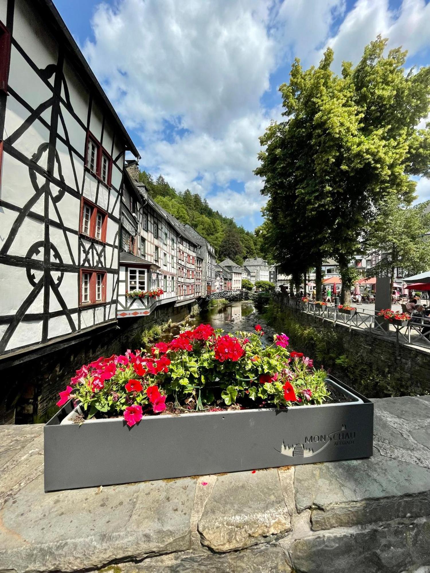 City Apartments Monschau Eksteriør billede